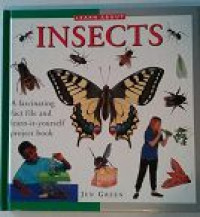 Image of Insects
