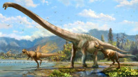 Image of Menjelajah Dunia Dinosaurus si Hewan Purba